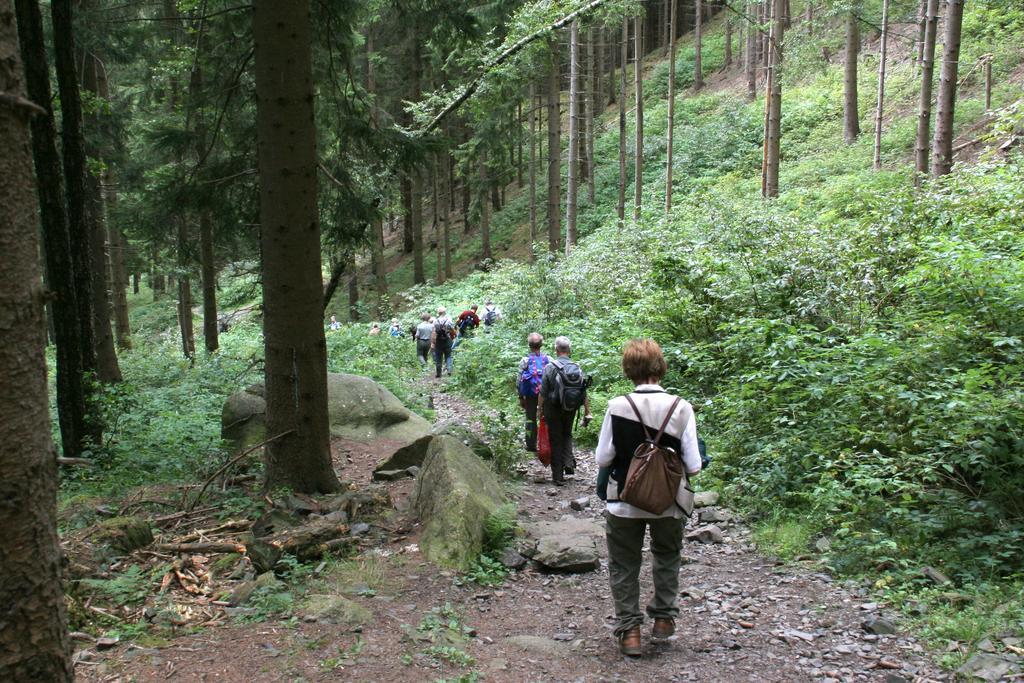 Fewo Amsbergstrasse Bad Harzburg Bilik gambar